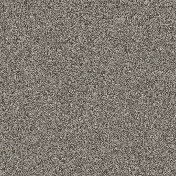 Shaw Floors New Attitude — Meteor · 5E743-00511 — flooring selection with LeviArs Design & Remodeling