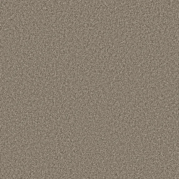 Shaw Floors New Attitude — Pecan Sandie · 5E743-00710 — flooring selection with LeviArs Design & Remodeling