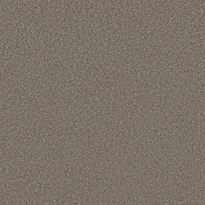 Shaw Floors Affirmation II — Granite · 5E795-00513 — flooring selection with LeviArs Design & Remodeling