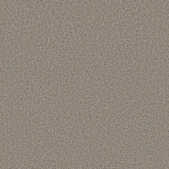 Shaw Floors Affirmation II — Bistro · 5E795-00111 — flooring selection with LeviArs Design & Remodeling