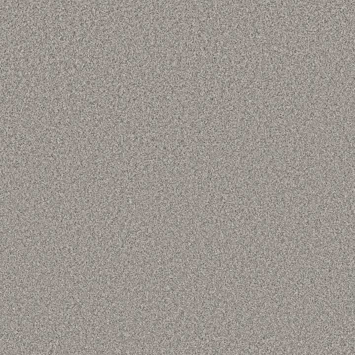 Shaw Floors Affirmation II — Shaved Ice · 5E795-00510 — flooring selection with LeviArs Design & Remodeling
