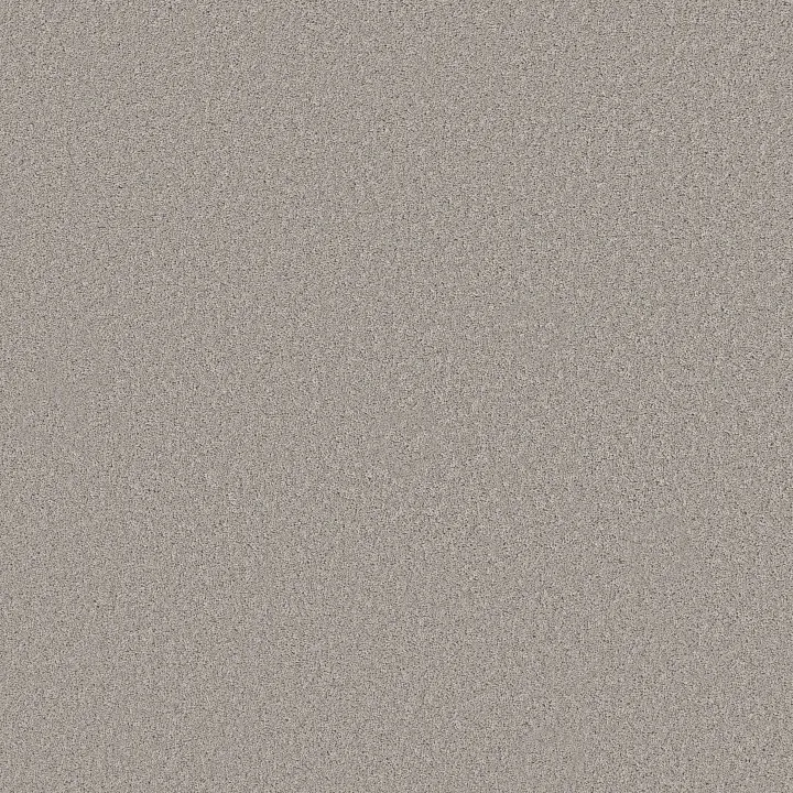 Shaw Floors New Memories S — Chain Reaction · EA099-00501 — flooring selection with LeviArs Design & Remodeling