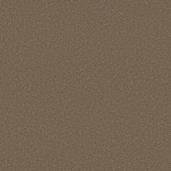 Shaw Floors New Memories S — Landmark · EA099-00701 — flooring selection with LeviArs Design & Remodeling