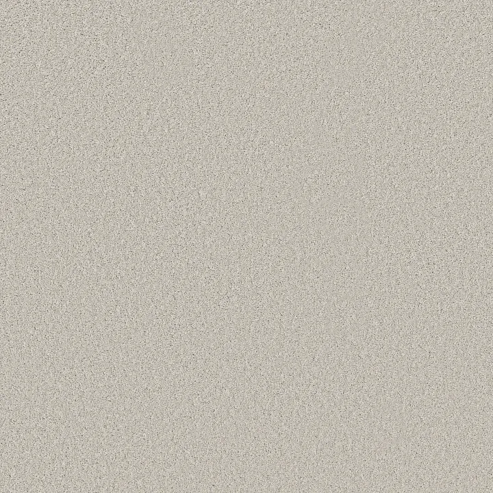 Shaw Floors New Memories S — Light Year · EA099-00500 — flooring selection with LeviArs Design & Remodeling