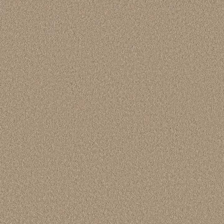 Shaw Floors New Memories S — Loft · EA099-00103 — flooring selection with LeviArs Design & Remodeling