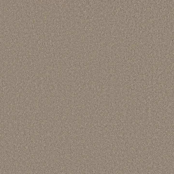 Shaw Floors New Memories S — On The Edge · EA099-00104 — flooring selection with LeviArs Design & Remodeling