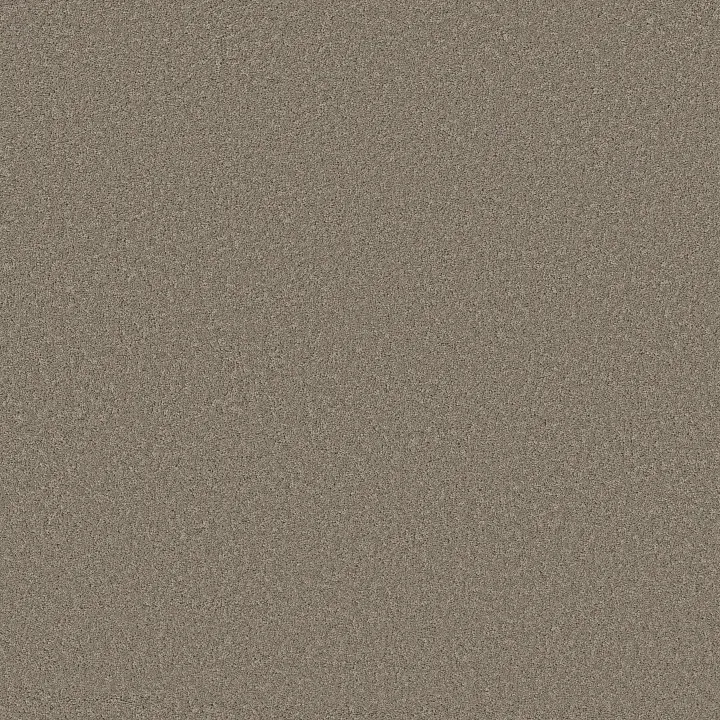 Shaw Floors New Memories S — Pier · EA099-00702 — flooring selection with LeviArs Design & Remodeling