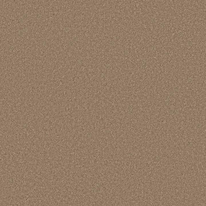 Shaw Floors New Memories S — Sierra · EA099-00700 — flooring selection with LeviArs Design & Remodeling