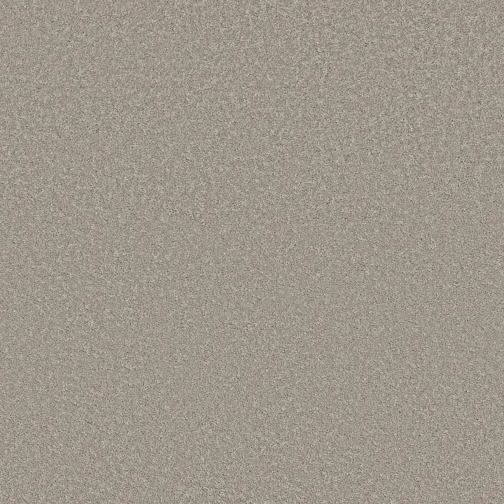 Shaw Floors New Memories S — Still Gray · EA099-00503 — flooring selection with LeviArs Design & Remodeling