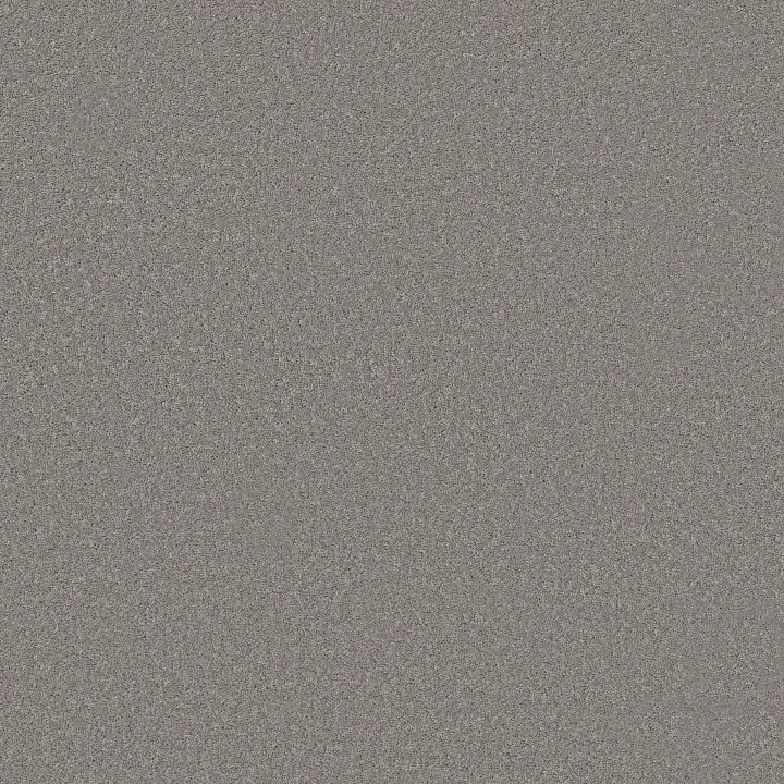 Shaw Floors New Memories S — Winter · EA099-00502 — flooring selection with LeviArs Design & Remodeling
