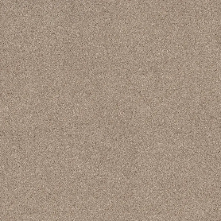 Shaw Floors New Memories T — Baja · EA100-00720 — flooring selection with LeviArs Design & Remodeling