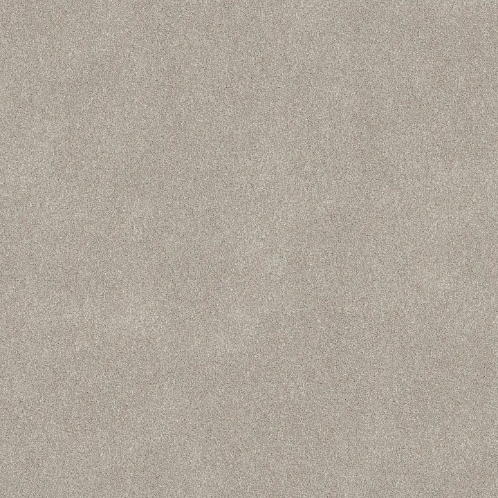 Shaw Floors New Memories T — Beige Mist · EA100-00121 — flooring selection with LeviArs Design & Remodeling