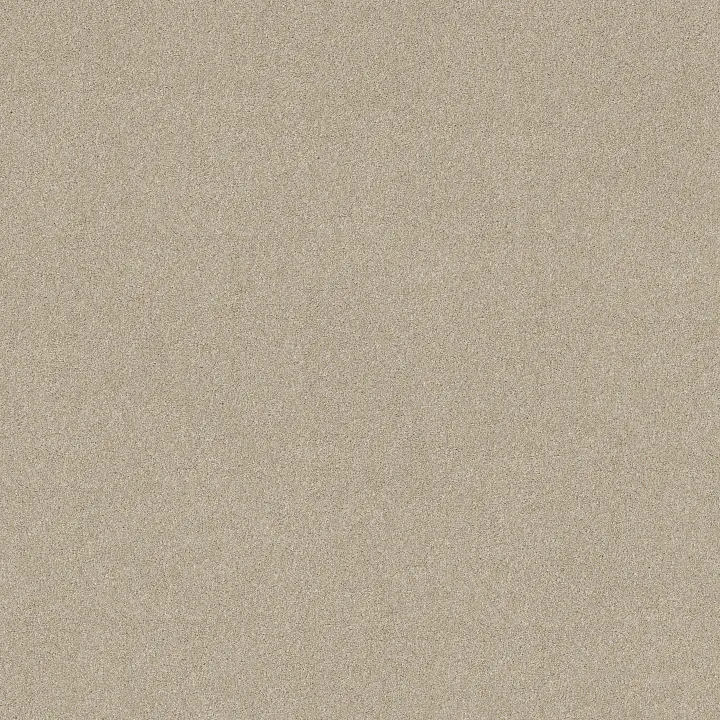 Shaw Floors New Memories T — Cafe Latte · EA100-00122 — flooring selection with LeviArs Design & Remodeling