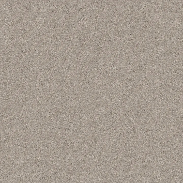 Shaw Floors New Memories T — Chic Taupe · EA100-00124 — flooring selection with LeviArs Design & Remodeling