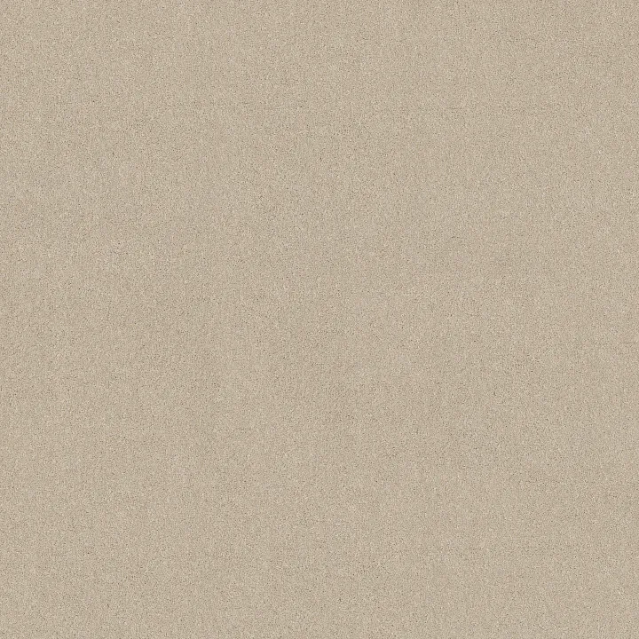 Shaw Floors New Memories T — Dune View · EA100-00120 — flooring selection with LeviArs Design & Remodeling