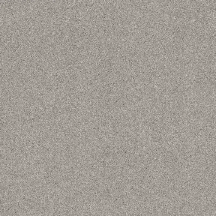 Shaw Floors New Memories T — Four Winds · EA100-00520 — flooring selection with LeviArs Design & Remodeling