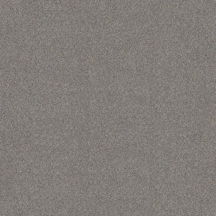 Shaw Floors New Memories T — Graphic · EA100-00522 — flooring selection with LeviArs Design & Remodeling