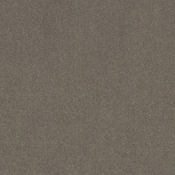 Shaw Floors New Memories T — Hideaway · EA100-00722 — flooring selection with LeviArs Design & Remodeling