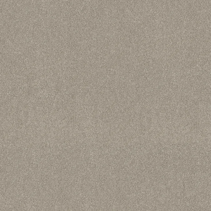 Shaw Floors New Memories T — Marble · EA100-00523 — flooring selection with LeviArs Design & Remodeling