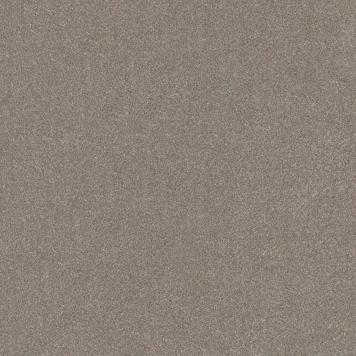Shaw Floors New Memories T — Mocha · EA100-00721 — flooring selection with LeviArs Design & Remodeling