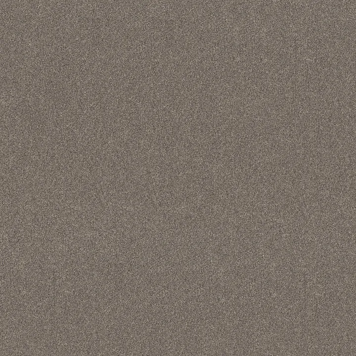 Shaw Floors New Memories T — Shadows · EA100-00524 — flooring selection with LeviArs Design & Remodeling