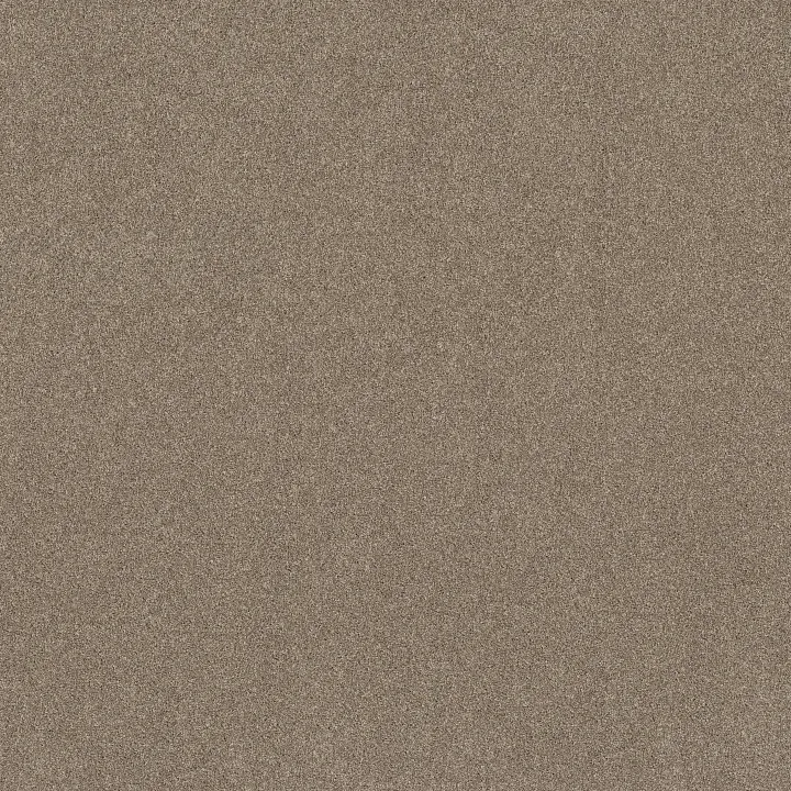 Shaw Floors New Memories T — Stonecrest · EA100-00123 — flooring selection with LeviArs Design & Remodeling