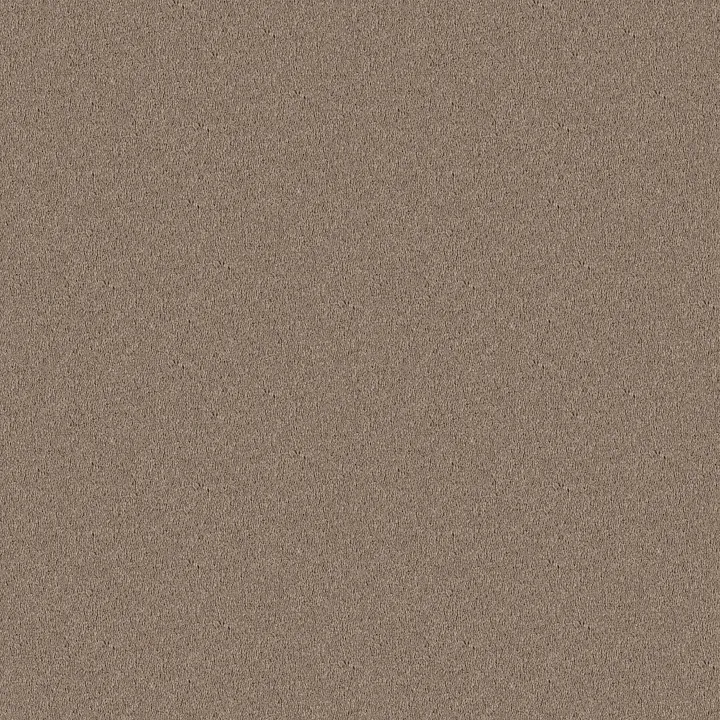 Shaw Floors Newbern Classic 12' — Antique Silk · E0949-00131 — flooring selection with LeviArs Design & Remodeling
