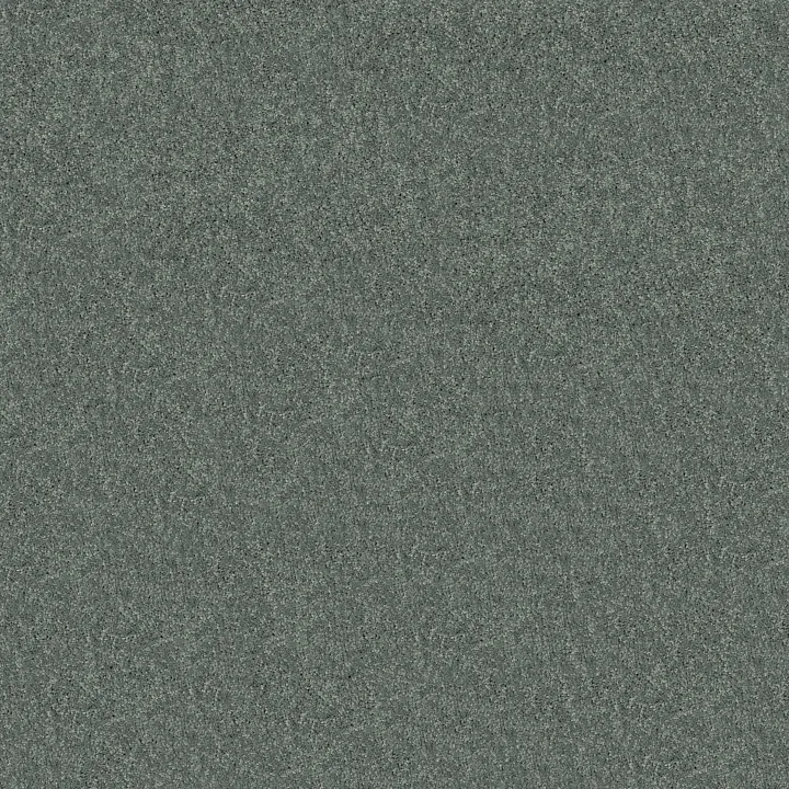 Shaw Floors Newbern Classic 12' — Bahama Bay · E0949-00454 — flooring selection with LeviArs Design & Remodeling