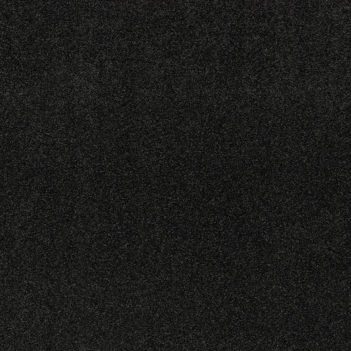 Shaw Floors Newbern Classic 12' — Coal Black · E0949-55502 — flooring selection with LeviArs Design & Remodeling