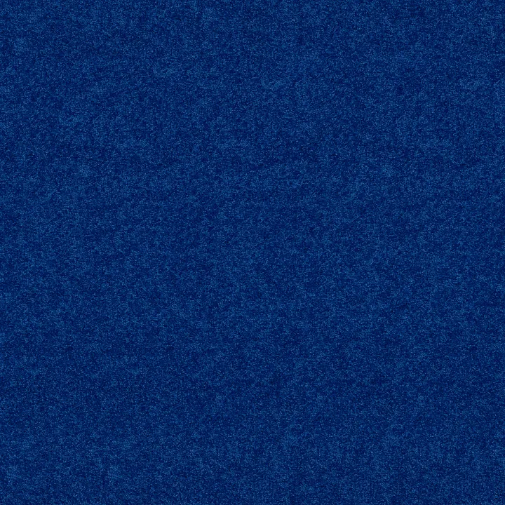 Shaw Floors Newbern Classic 15' — Cobalt · E0950-55453 — flooring selection with LeviArs Design & Remodeling