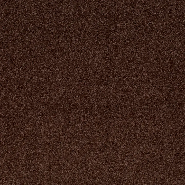 Shaw Floors Newbern Classic 12' — Coffee · E0949-55755 — flooring selection with LeviArs Design & Remodeling