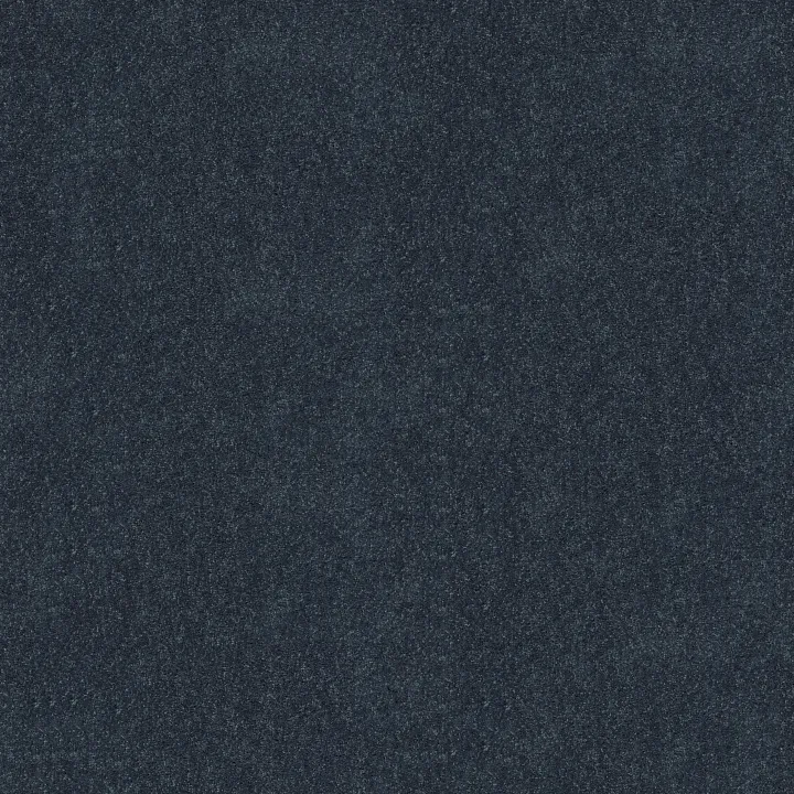 Shaw Floors Newbern Classic 15' — Colonial · E0950-55401 — flooring selection with LeviArs Design & Remodeling