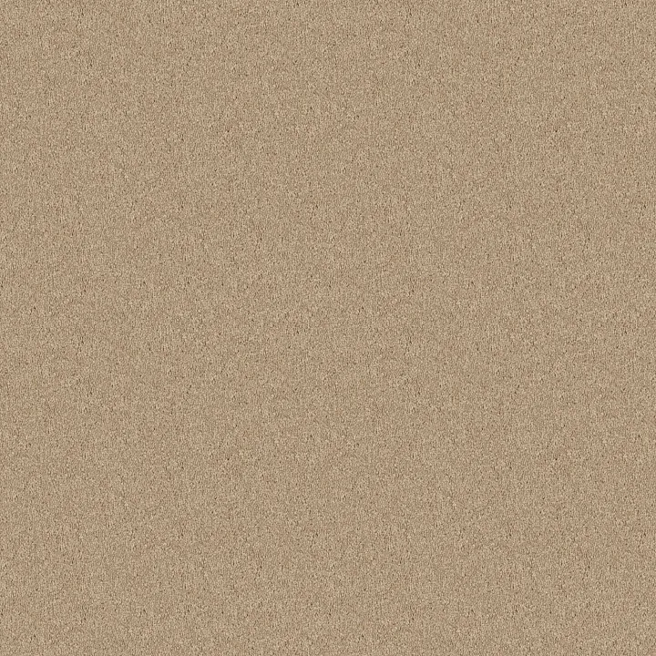Shaw Floors Newbern Classic 12' — Crisp Linen · E0949-00109 — flooring selection with LeviArs Design & Remodeling
