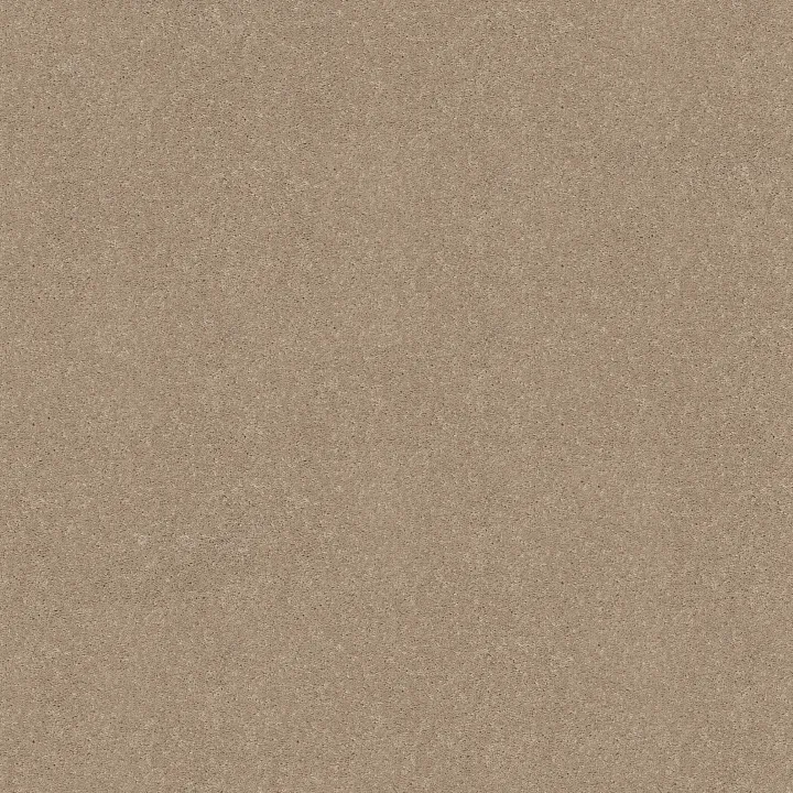 Shaw Floors Newbern Classic 15' — Dove · E0950-55700 — flooring selection with LeviArs Design & Remodeling