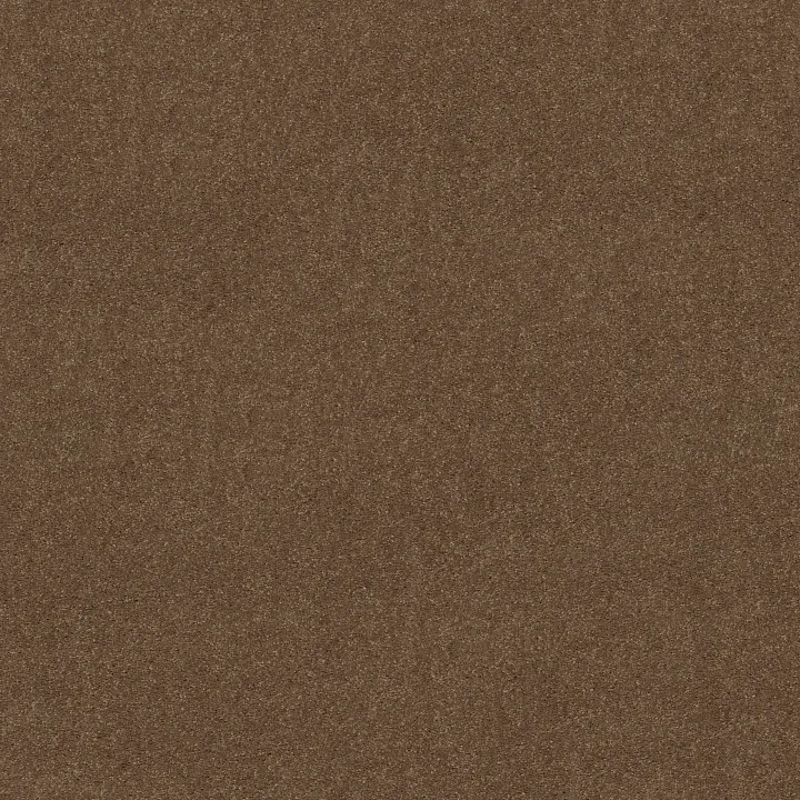 Shaw Floors Newbern Classic 15' — Driftwood · E0950-55720 — flooring selection with LeviArs Design & Remodeling