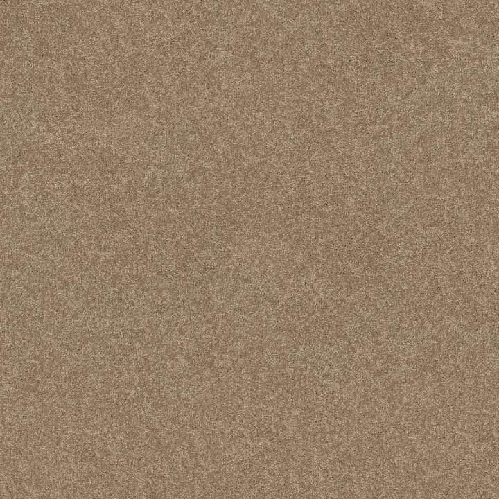 Shaw Floors Newbern Classic 15' — Dusty Trail · E0950-55793 — flooring selection with LeviArs Design & Remodeling