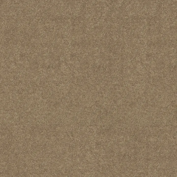 Shaw Floors Newbern Classic 15' — Fossil · E0950-00761 — flooring selection with LeviArs Design & Remodeling