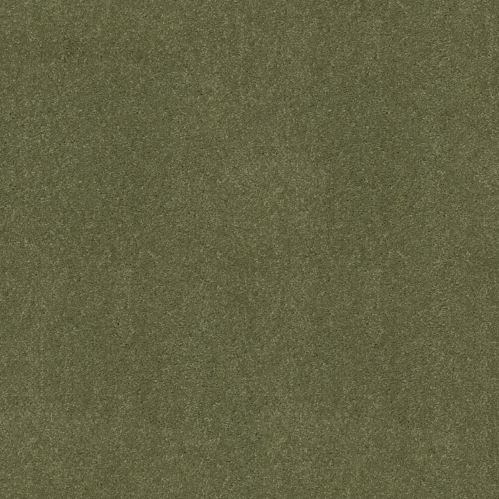 Shaw Floors Newbern Classic 12' — Going Green · E0949-00330 — flooring selection with LeviArs Design & Remodeling