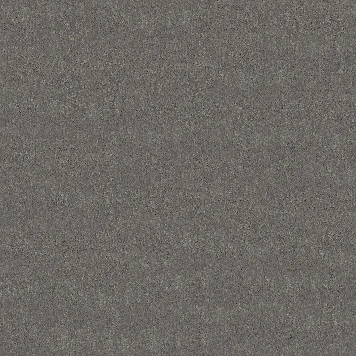 Shaw Floors Newbern Classic 12' — Haze · E0949-00531 — flooring selection with LeviArs Design & Remodeling
