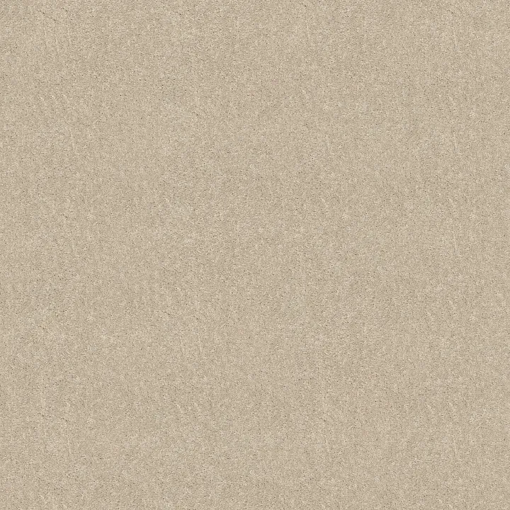 Shaw Floors Newbern Classic 15' — Ivory Tint · E0950-55101 — flooring selection with LeviArs Design & Remodeling