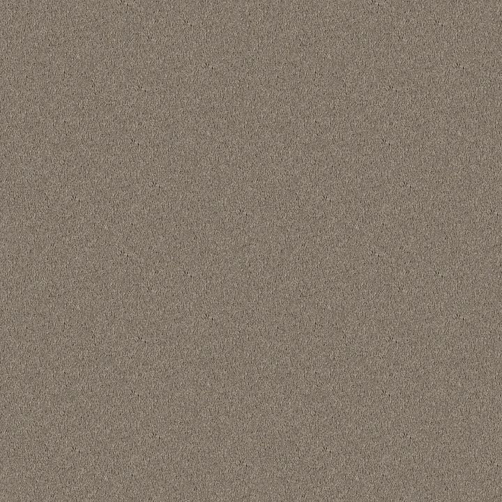 Shaw Floors Newbern Classic 12' — Pebble Path · E0949-00132 — flooring selection with LeviArs Design & Remodeling