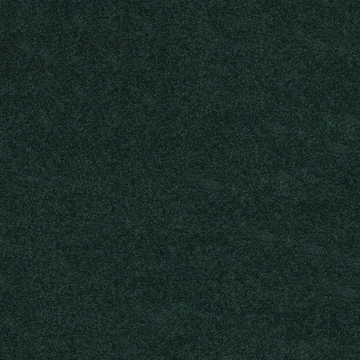 Shaw Floors Newbern Classic 15' — Polo · E0950-55301 — flooring selection with LeviArs Design & Remodeling
