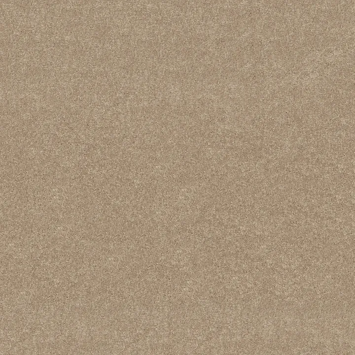 Shaw Floors Newbern Classic 12' — Sand Dollar · E0949-00116 — flooring selection with LeviArs Design & Remodeling