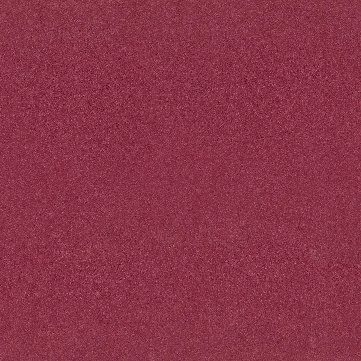 Shaw Floors Newbern Classic 15' — Sassy Pink · E0950-00830 — flooring selection with LeviArs Design & Remodeling