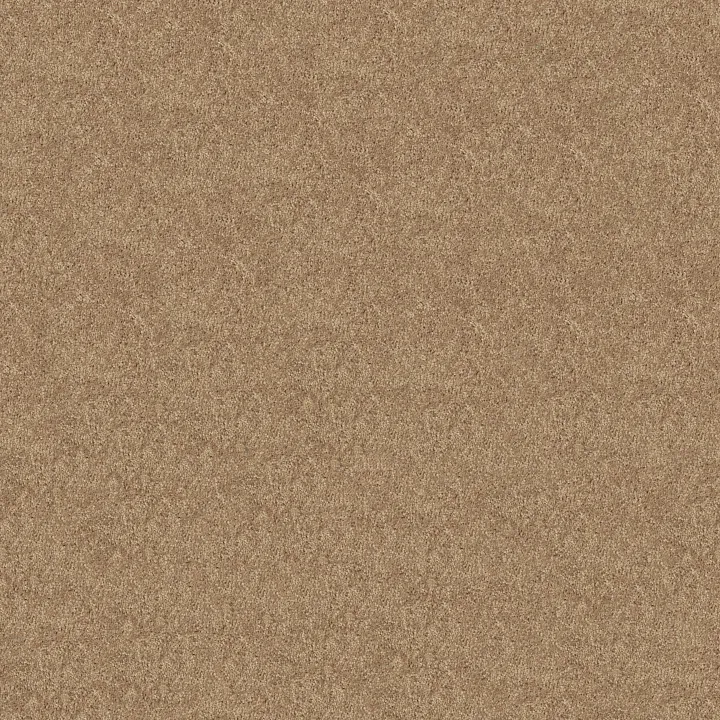 Shaw Floors Newbern Classic 12' — Straw Hat · E0949-00260 — flooring selection with LeviArs Design & Remodeling