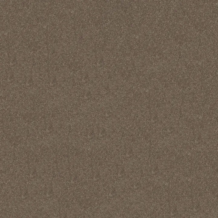 Shaw Floors Newbern Classic 12' — Suede · E0949-00731 — flooring selection with LeviArs Design & Remodeling