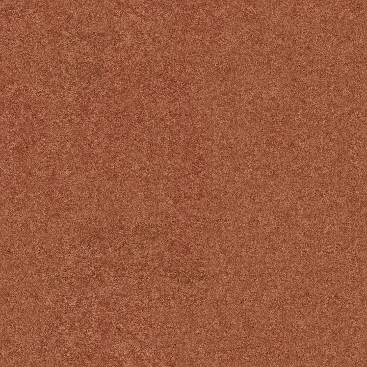 Shaw Floors Newbern Classic 12' — Sunburst · E0949-00630 — flooring selection with LeviArs Design & Remodeling