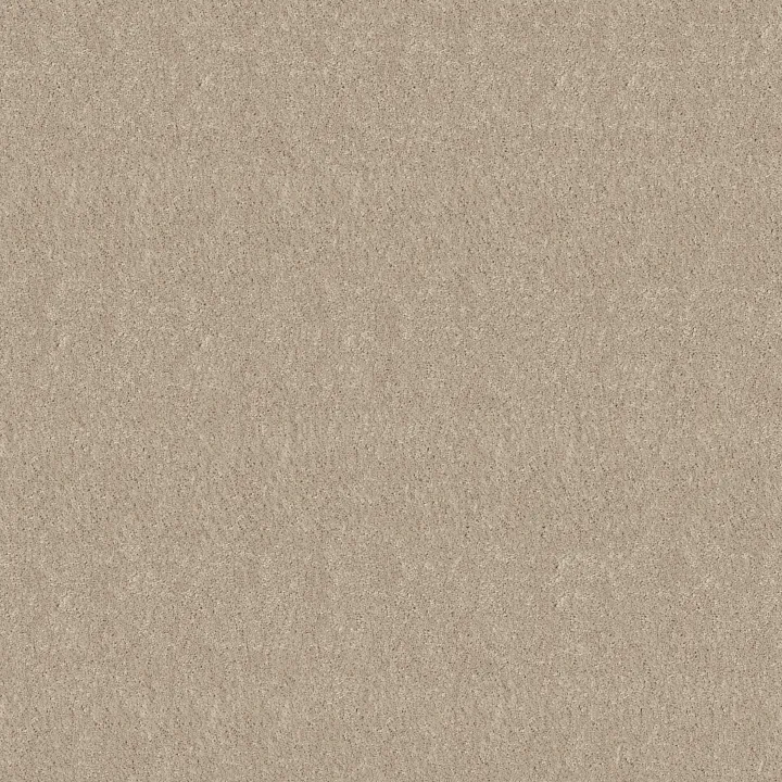 Shaw Floors Newbern Classic 15' — Taupe · E0950-55105 — flooring selection with LeviArs Design & Remodeling