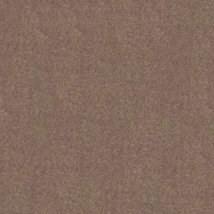 Shaw Floors Newbern Classic 15' — Taupe Mist · E0950-55792 — flooring selection with LeviArs Design & Remodeling
