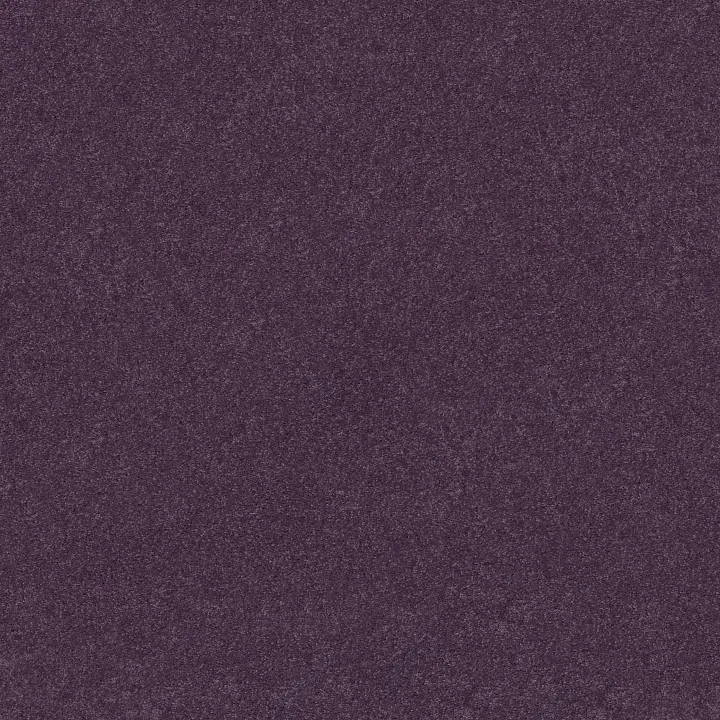Shaw Floors Newbern Classic 15' — Violet Crush · E0950-00930 — flooring selection with LeviArs Design & Remodeling
